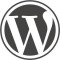 Custom post fields using Advanced Custom Fields WordPress plugin